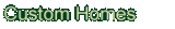 custom.gif (1245 bytes)